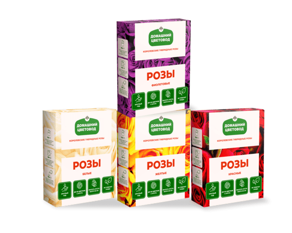 korolevskie-gibridnye-rozy-|-besplatno