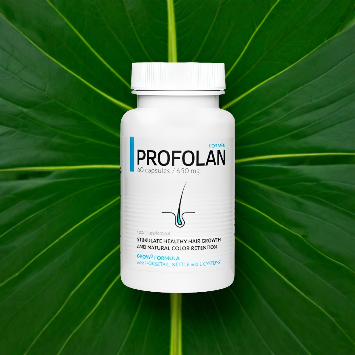 Profolan
